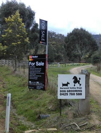 40952079_239267213367013_8897580956223799296_n