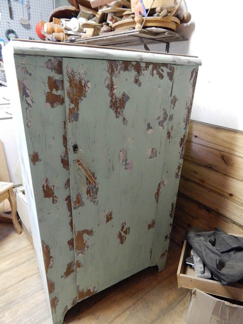 This image has an empty alt attribute; its file name is chippy1.jpg